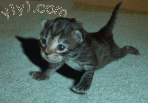 1         2                3